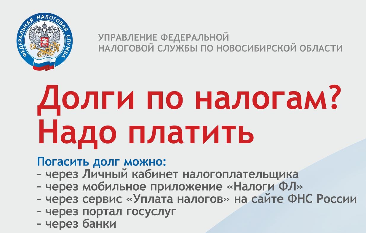 Новосибирцам рекомендуют проверить свою задолженность по налогам